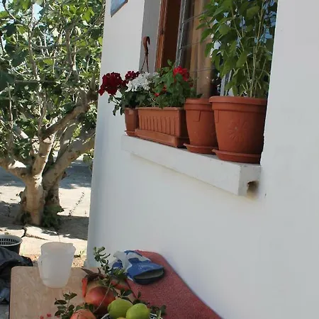Ithaca Semesterbostad Larnaca